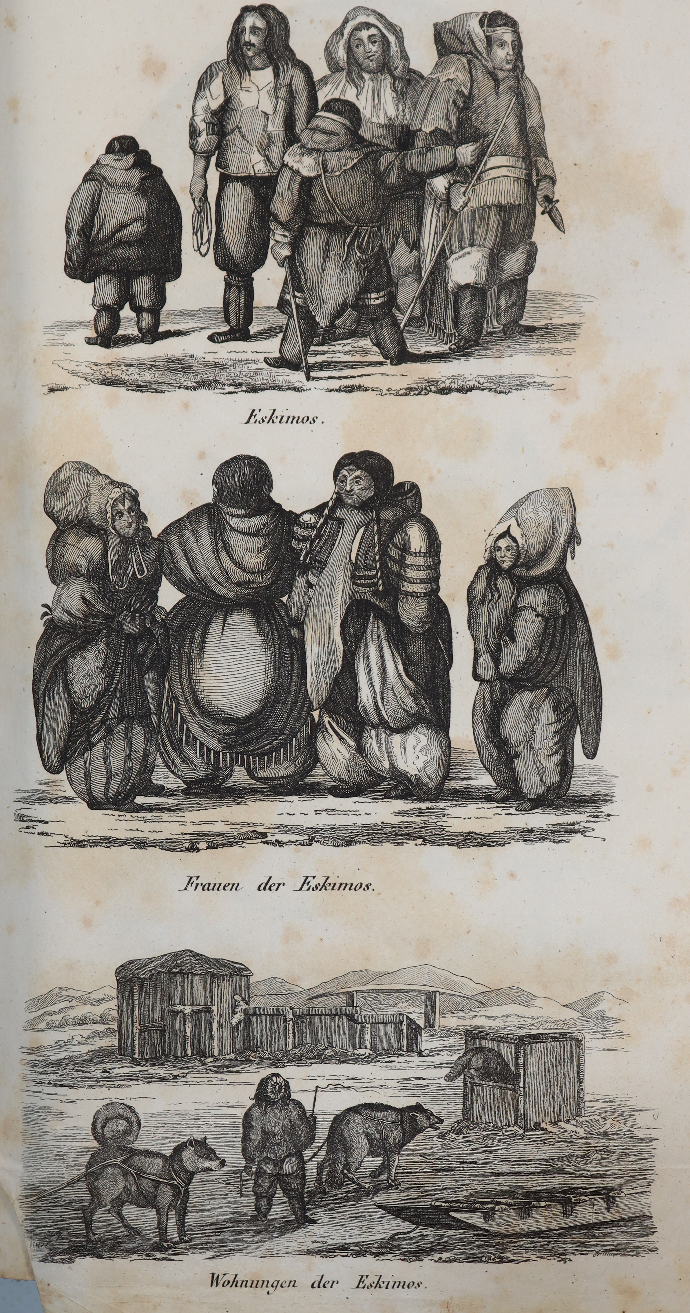 Bromme,T. | Bild Nr.4